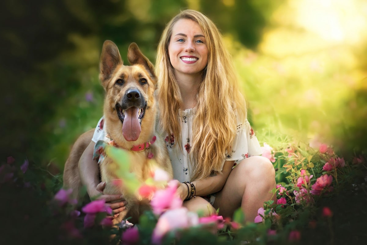 Canimation photographe canine meilleur camping pour chien