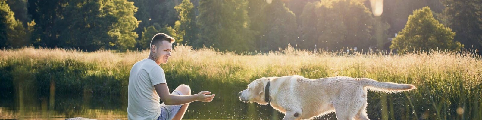 Idyllic summertime with dog. Young man sitting on pier and playing with his labrador retriever.