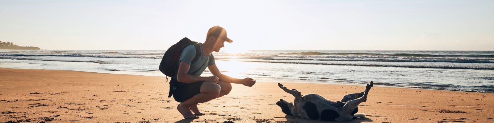 Young man playing with cheerful dog on sand beach against sea, Sri Lanka.